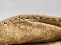 男子皮帽藏品圖，第23張